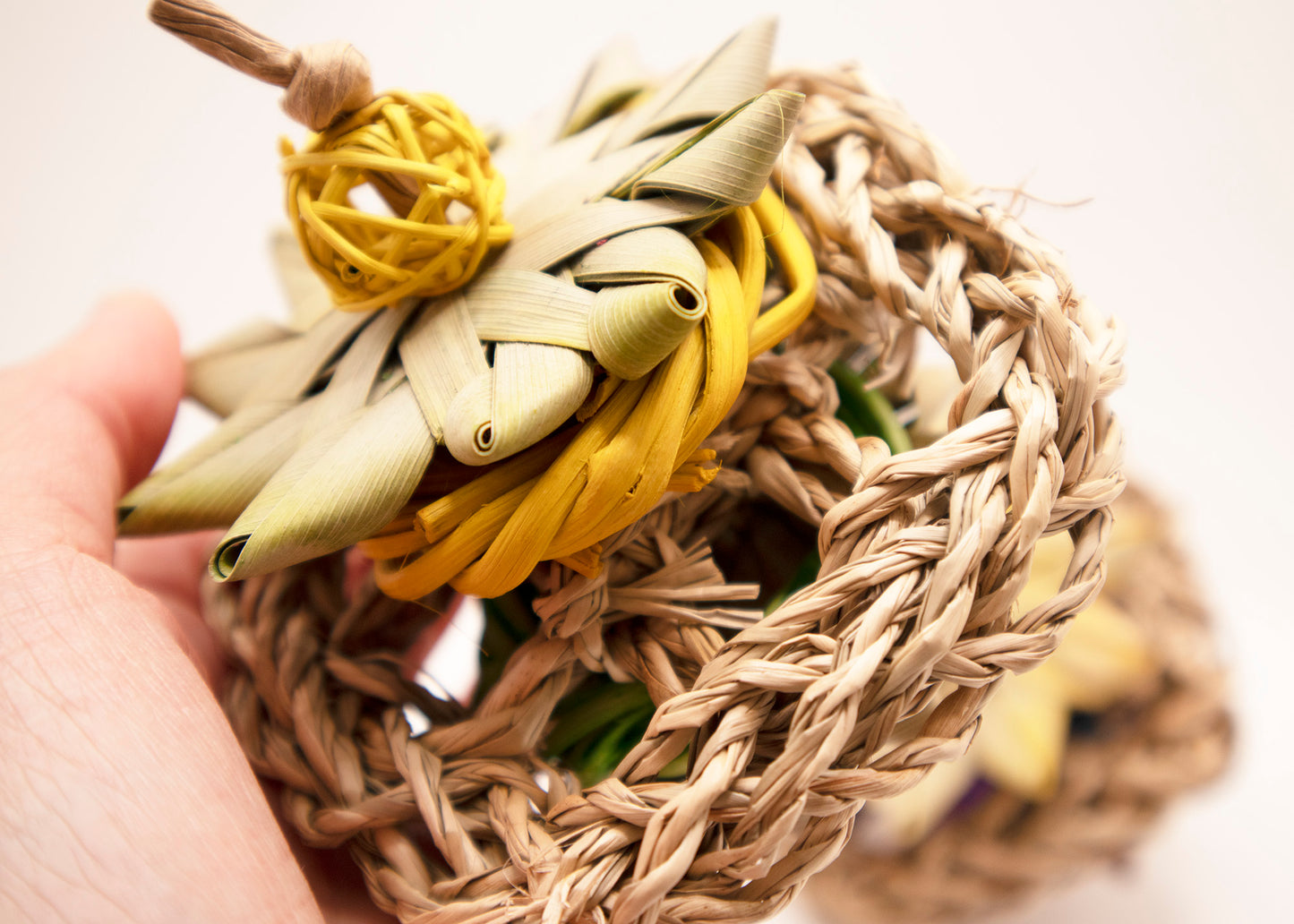 Mini Seagrass Sandwich