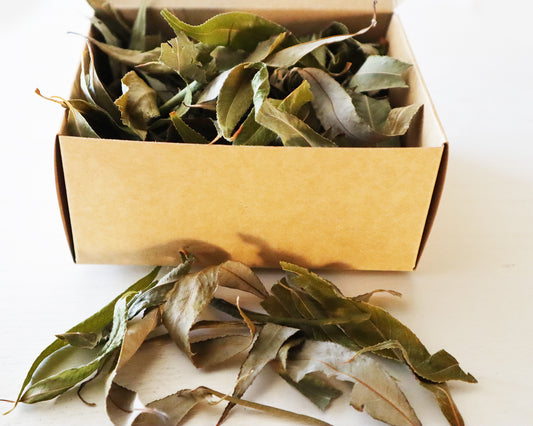 Dried Loose Willow Leaves