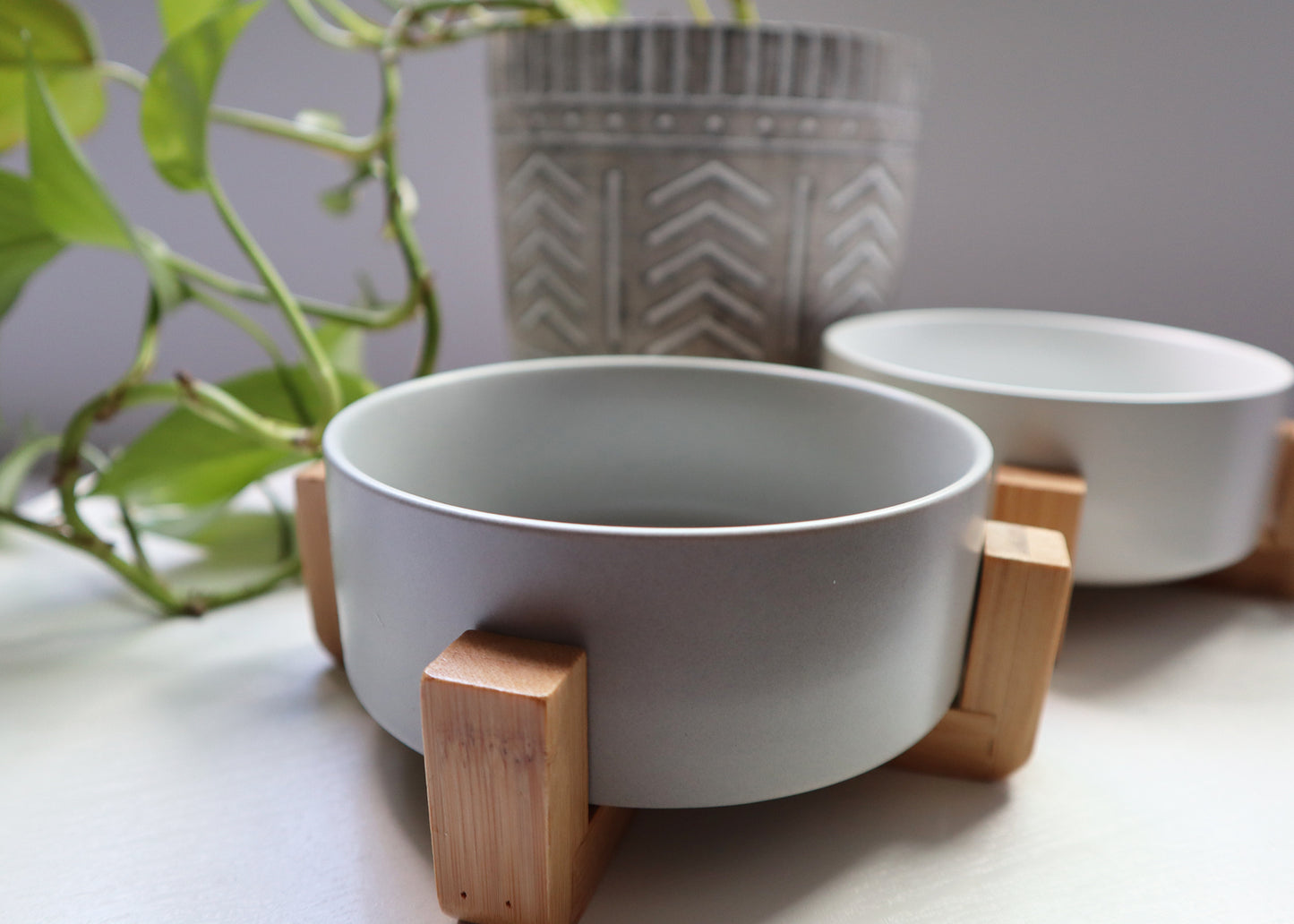 Ceramic Bowls