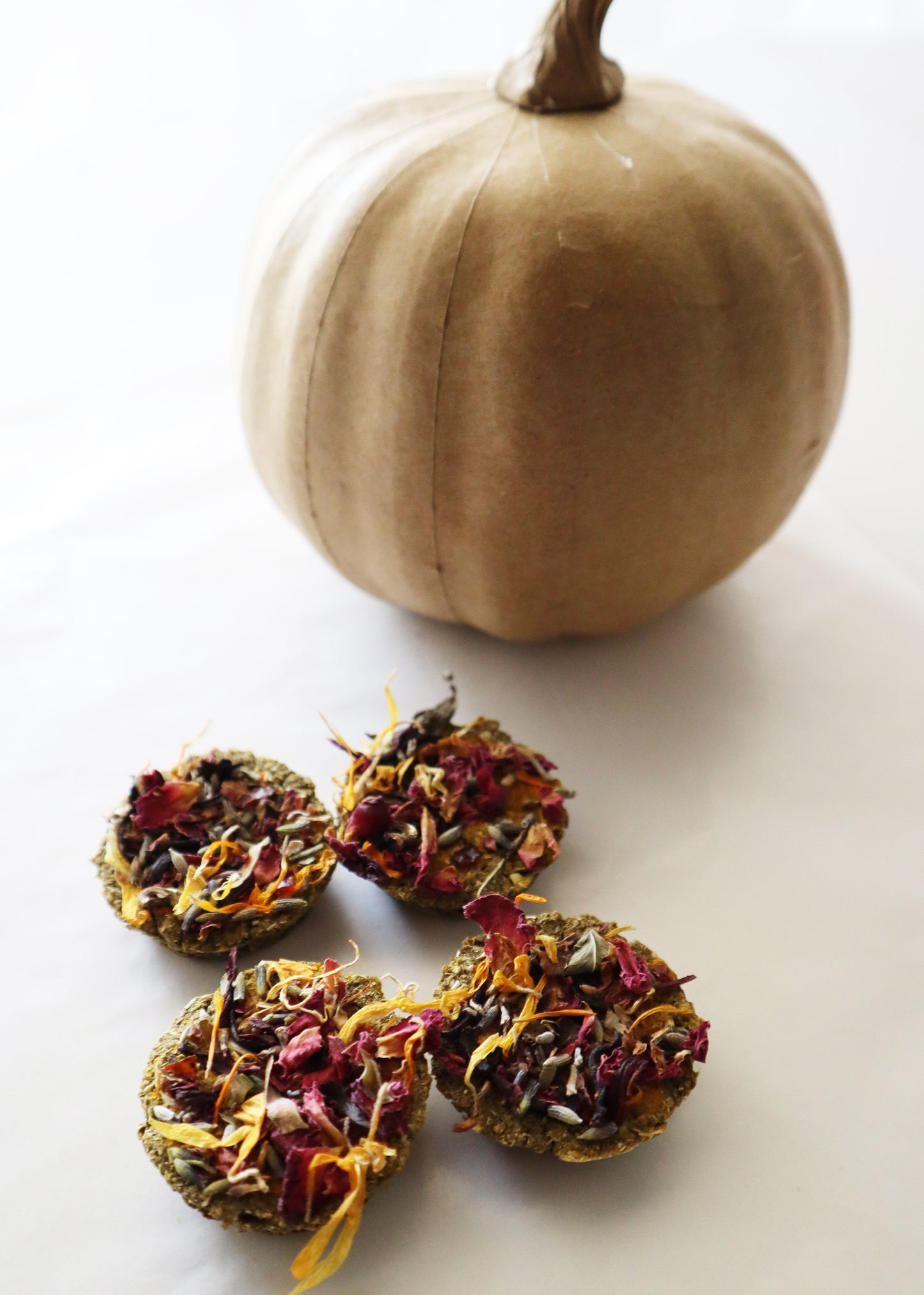 Pumpkin POW!!!
