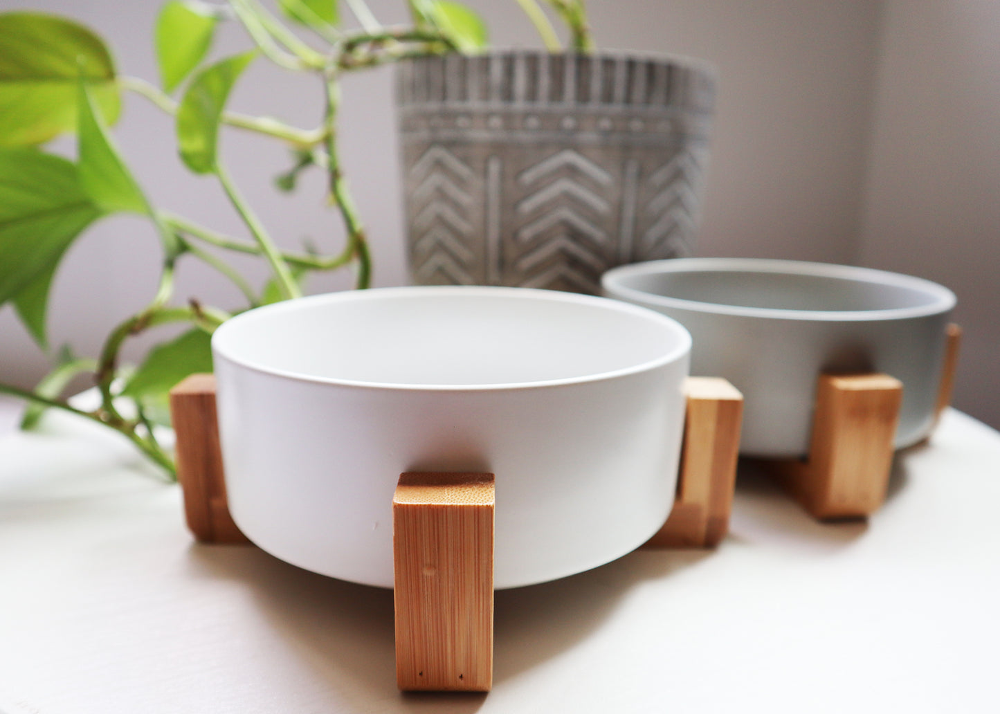 Ceramic Bowls