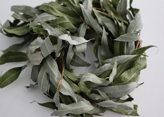 Fresh Dried Willow Wreaths