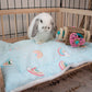 New Wooden Bed