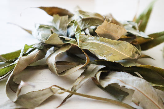 Dried Loose Willow Leaves