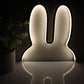 Desk Night Light