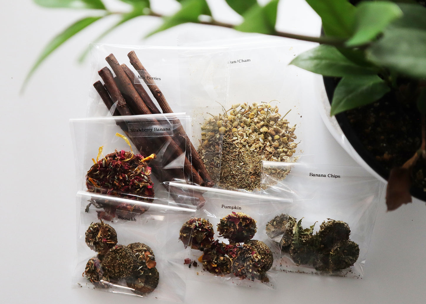 Picky Bunny Sampler